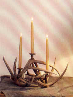 Whitetail Candelabra